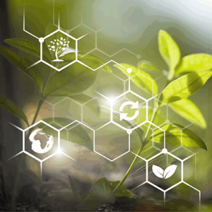 Il carbon farming: l’agricoltura può salvare il clima?